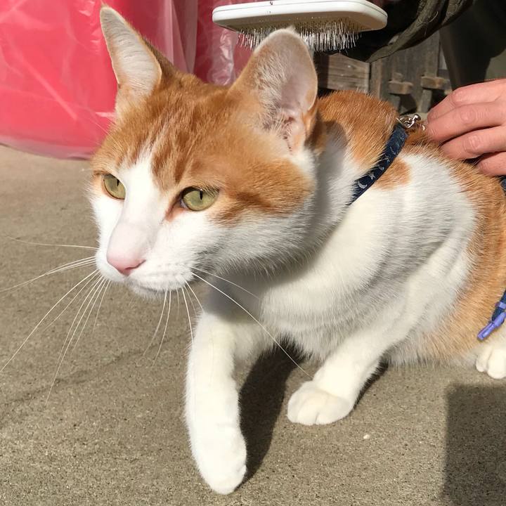 D457d253 37fc 45ff b650 11999d66bfb9 1514602305152