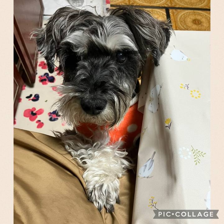 D457d3db 958f 45ee 9056 95ec0ea3f202 1775230309471