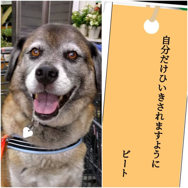 D457dd47 3ddd 4301 a306 a5fb28c32967 1720310831761