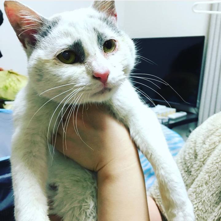 D457ec2e 2f36 4105 9adb bba68185947b 1616748285685