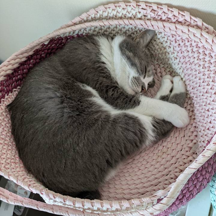 D457f451 57bd 4128 b7b8 110d902ecdcd 1756601035203