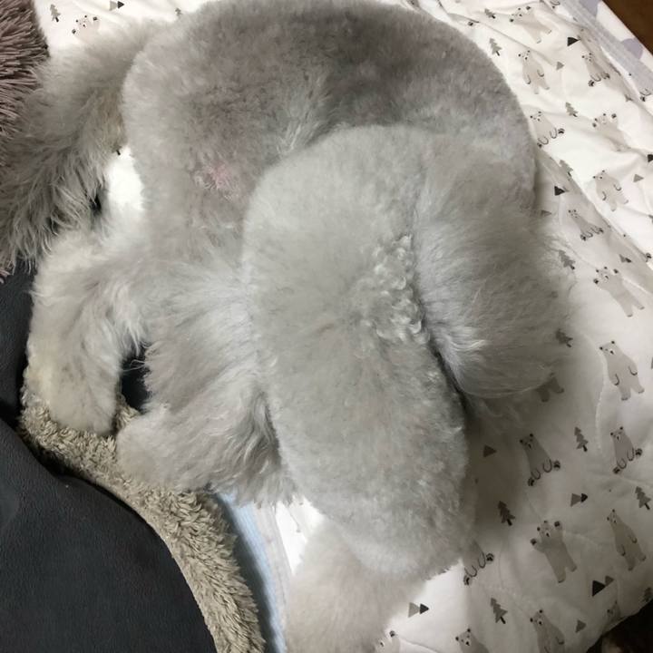 D458040b dca4 4716 a482 d5f16be208c8 1648894645496