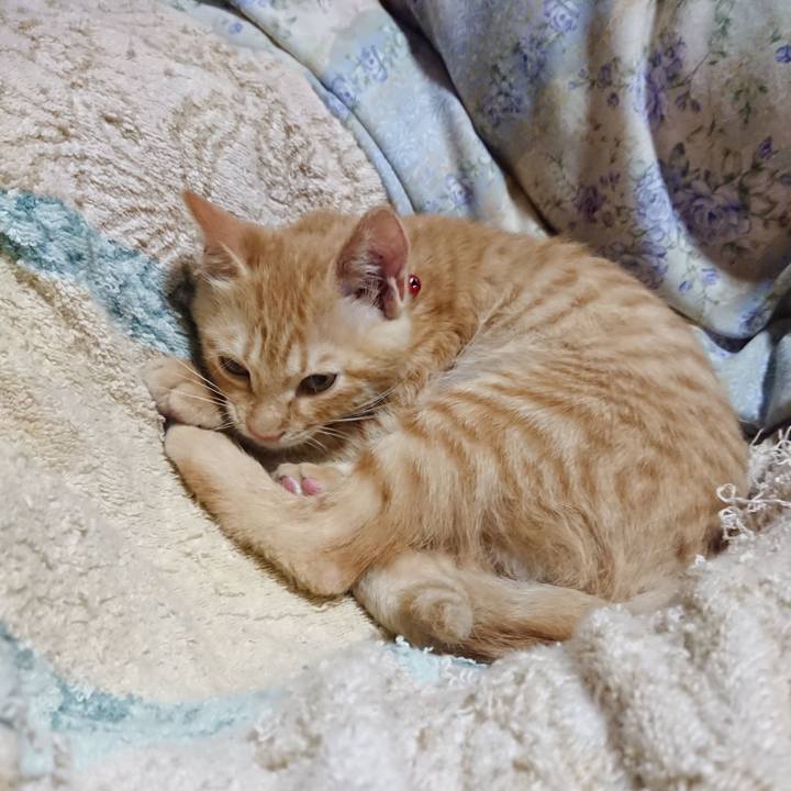 D45808b3 9a7e 41f8 ab58 0b58dfa1b46c 1633092690271