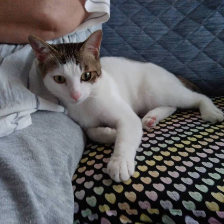 D4580c82 3475 4d89 8ace 2814e07187a2 1659410252511