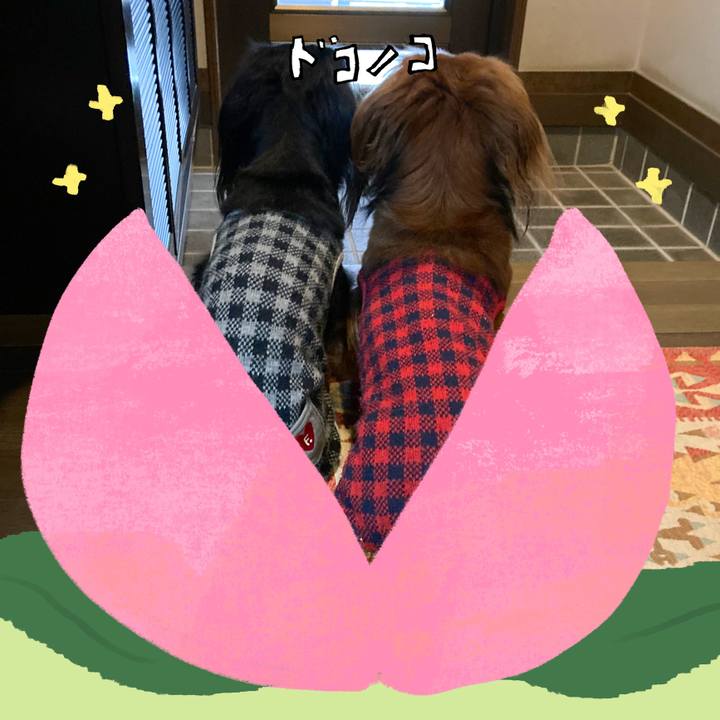 D45818c6 627e 4531 be55 0183be53ff03 1772107194829