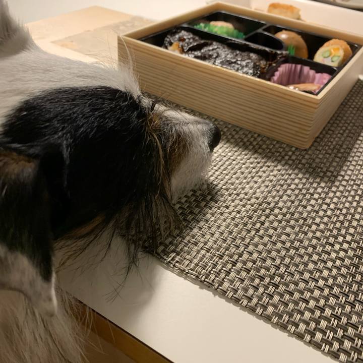 D458255a e1e4 45a5 bc8f 91655fb321c7 1680340784753