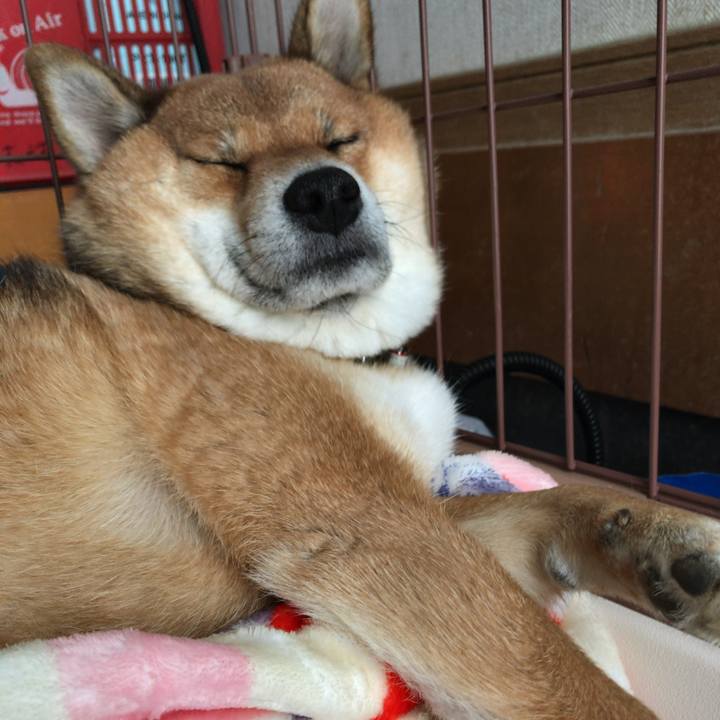 D458341d 68ae 4101 90cc d23e66f45176 1546489680798