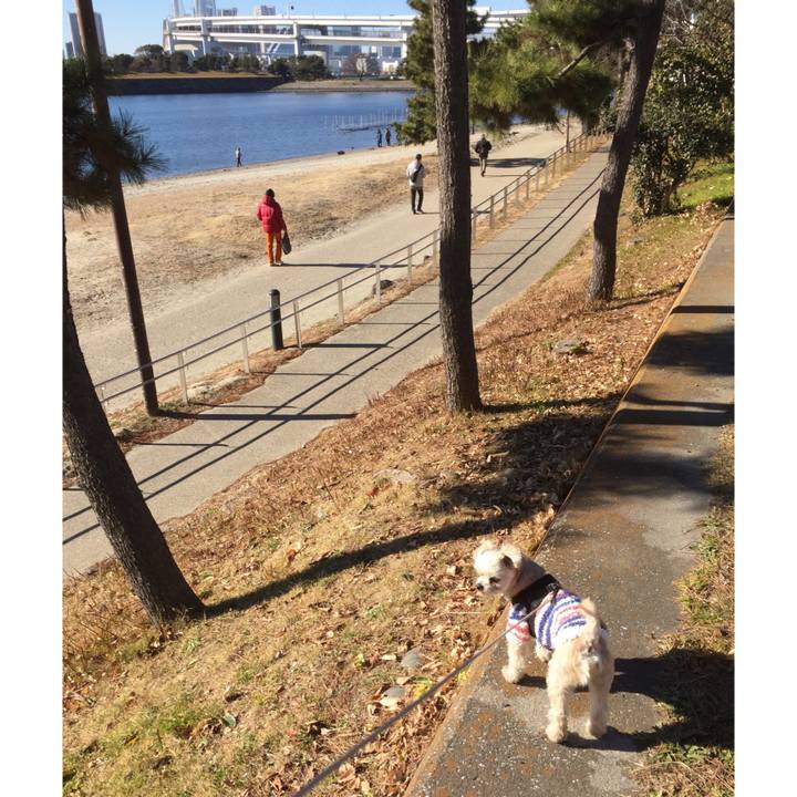 D4583709 096d 49d2 9d07 69e7fe9b71ea 1548583665378