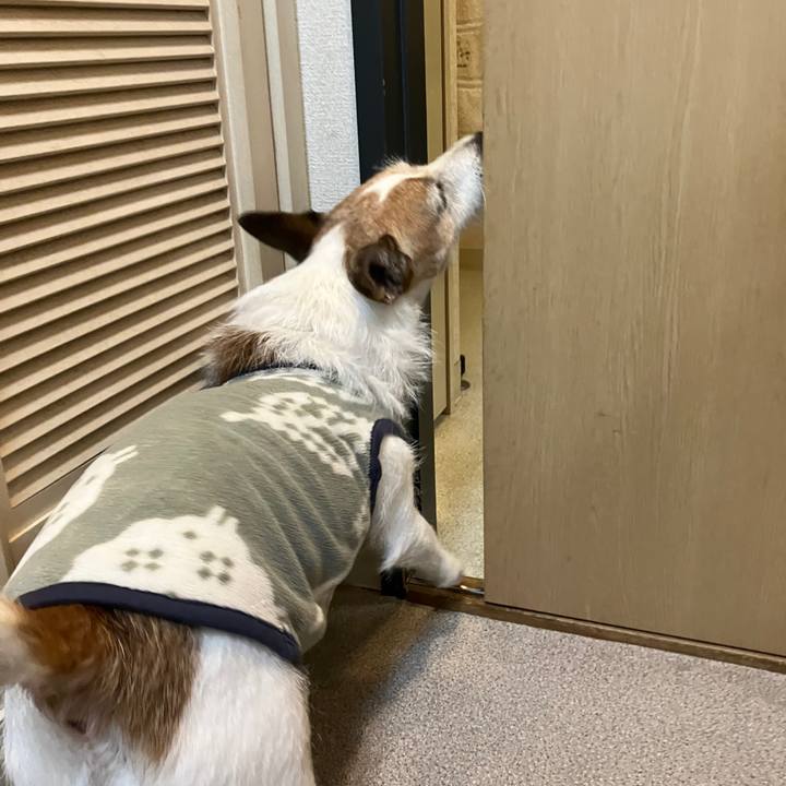 D45882c0 9dee 4afc 8ecf ee0d8210ad55 1701477326021