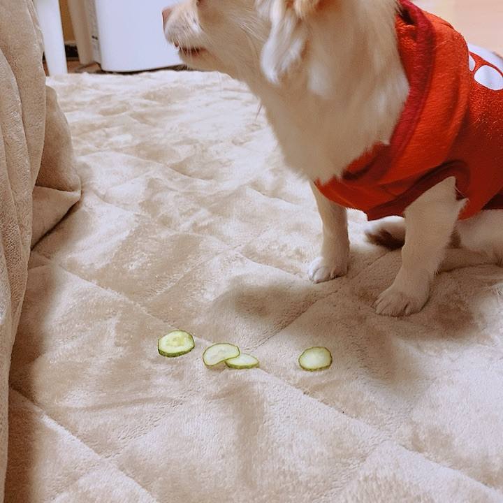 D458d2bb 1710 4bb6 98ba d0737a6b333a 1607723226643