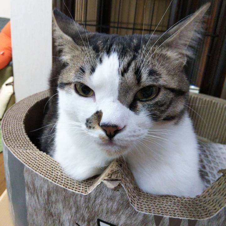 D458f8b6 2efd 4c7e 8c66 58232fa37591 1644484248965