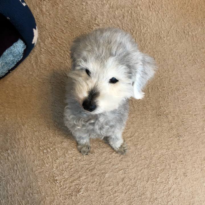 D45926df 2937 4705 89a3 28a2e39216c8 1649635328174