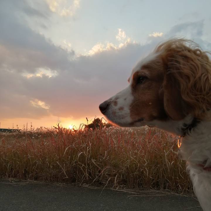 D459c369 e5d5 4d7f be25 8a889f662b8a 1607416956575