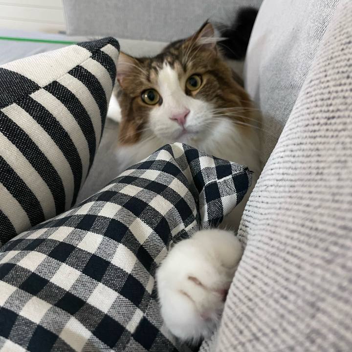 D459d22d 7284 4373 bbee 8ca532773854 1660940277701