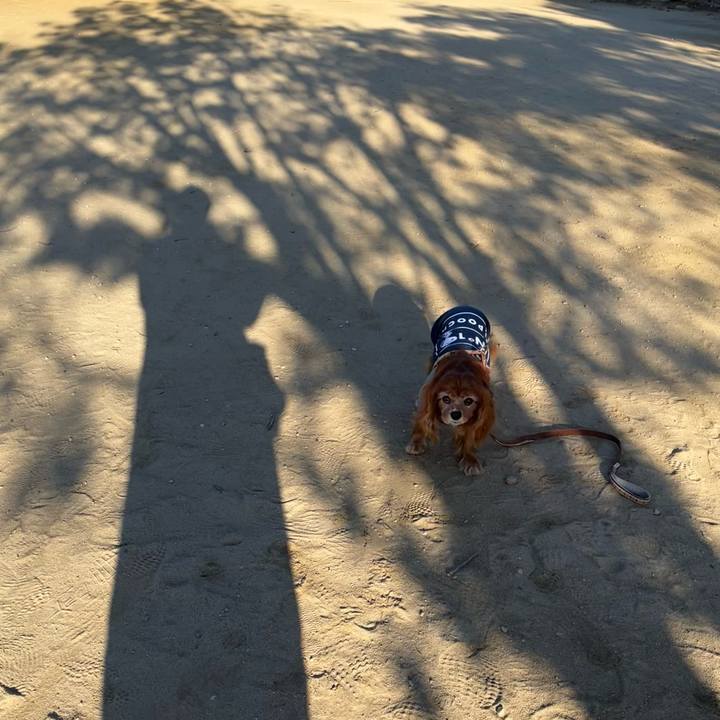 D459d3a0 d6ed 468f a3cc 3f841007cf53 1732408207264