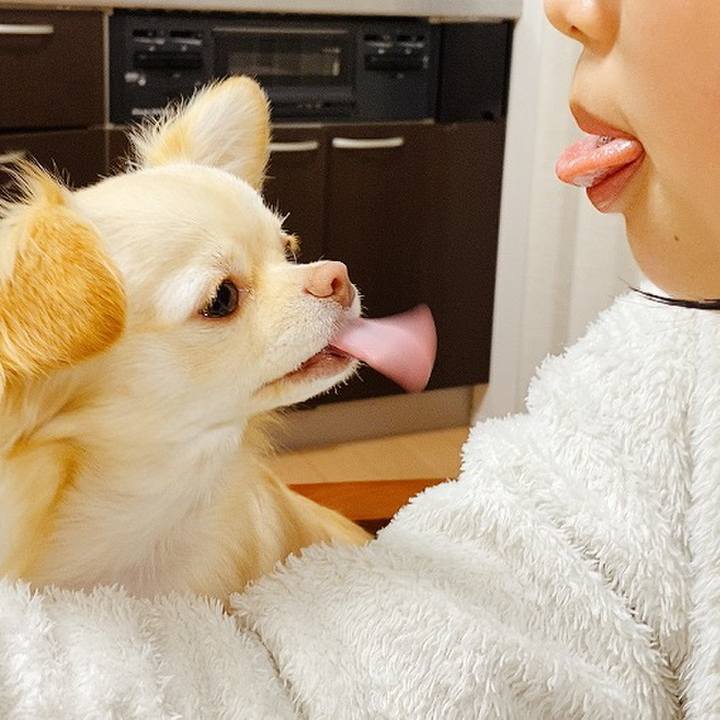 D459dd95 0e13 4c45 9d87 4b419ab4e044 1618023978971