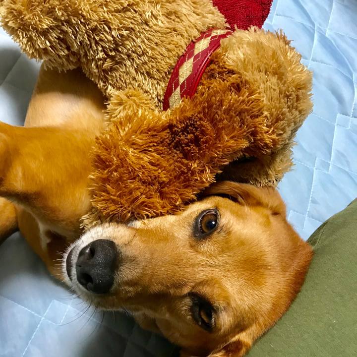 D459f2be d260 4cc7 bbd6 e95002521455 1531912724307