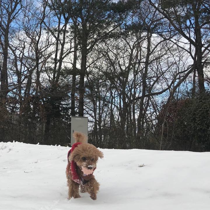 D45a0a3e 8c89 493d a8a8 4bb66956e8cf 1546219945449