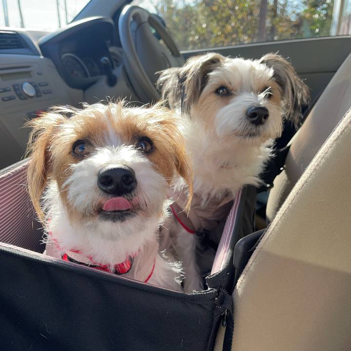 D45a4d95 9b4f 473f a869 4af7d164fac1 1767149851976