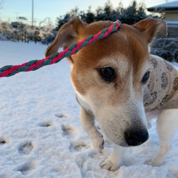 D45a9b35 d987 4328 b2f4 82655969c77f 1548993405554