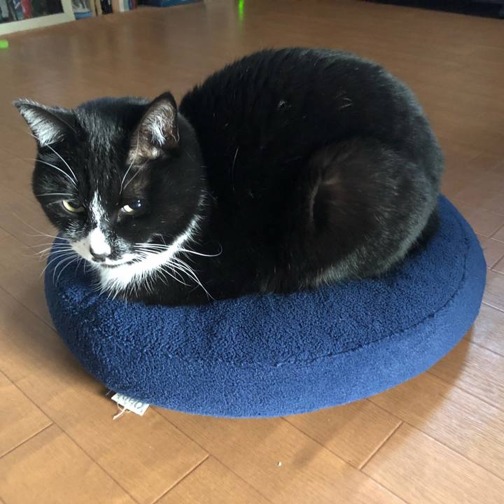 D45aa898 ad4f 47a2 8feb 8036cea78bbd 1615865561246