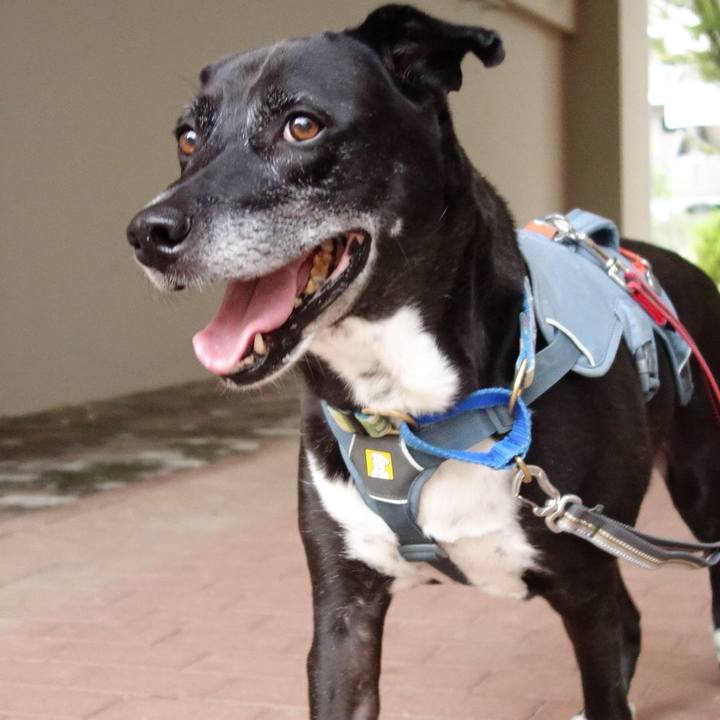 D45ad088 84e3 489b 876e a52a6ccc4a33 1727223674663