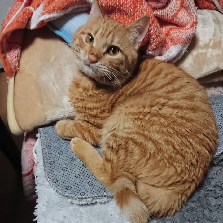 D45af376 3e86 4008 b3ab c5b1edde324f 1640936287215