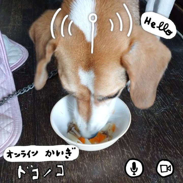 D45b1087 366d 4bfd 9068 026c6fa65906 1594091987745