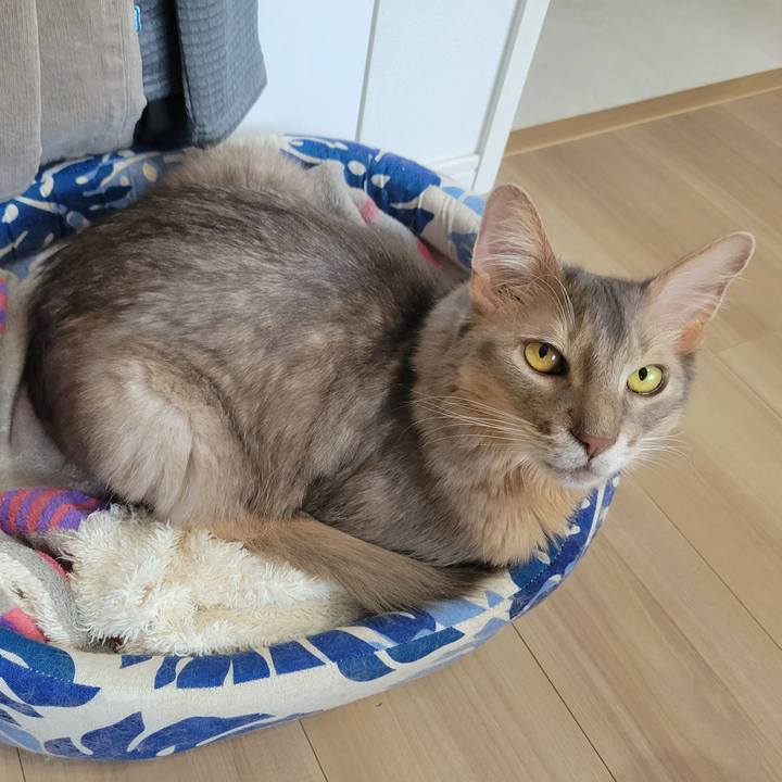 D45b66dd 32cb 4fa9 8f19 d76aef91f6e1 1679021159101