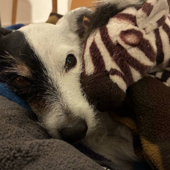 D45b7ef8 70cd 416d a5c0 a4f4c9e31554 1764944348616