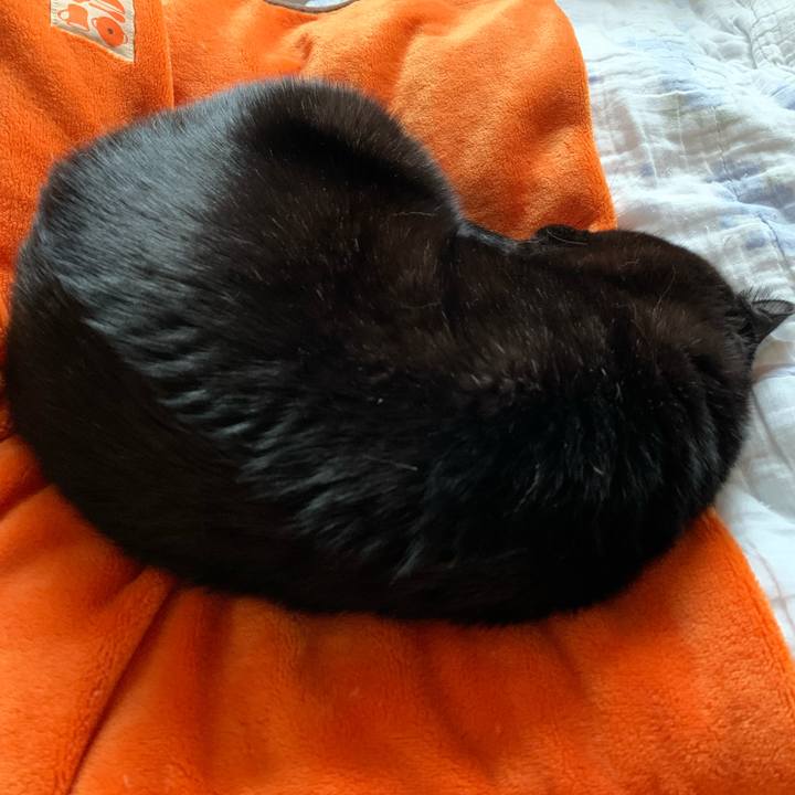 D45ba7f0 cfdb 423b 917d d0375854c0bb 1603416969827