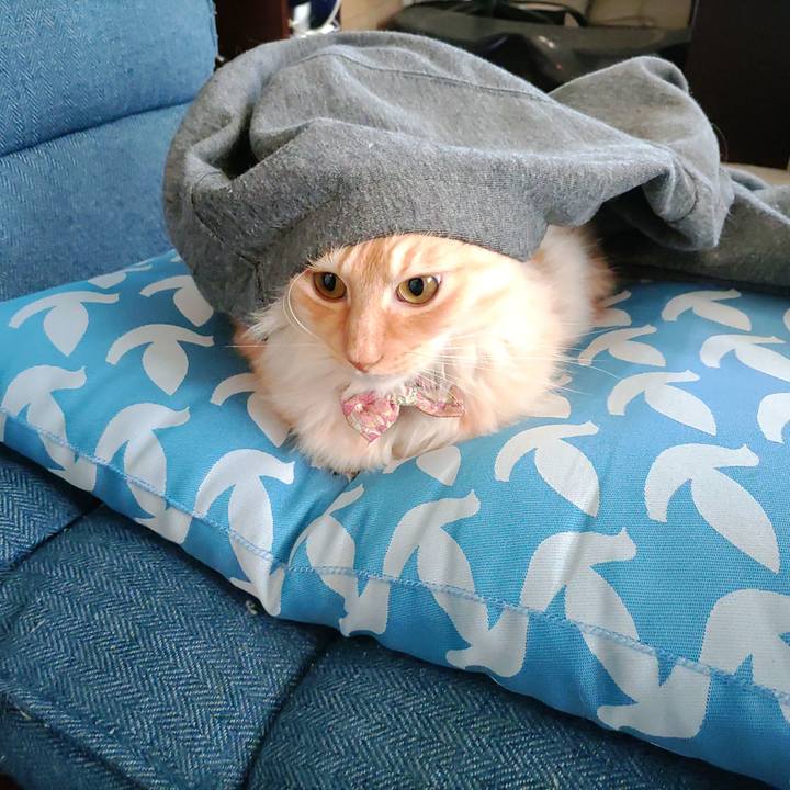 D45ba9d8 f4da 43b1 83c3 9f9b1a2fde59 1701913667091