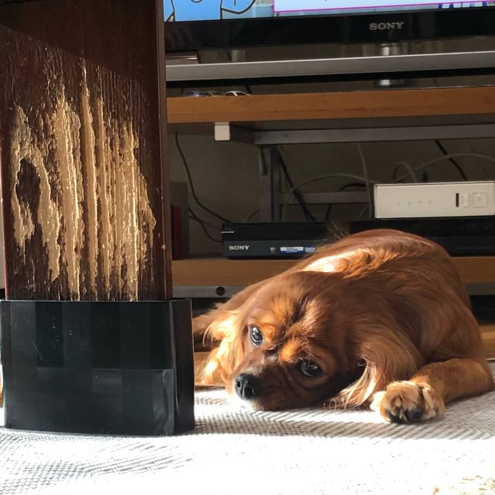 D45baff7 c138 4df9 85e5 183400c7ba4f 1599603461376