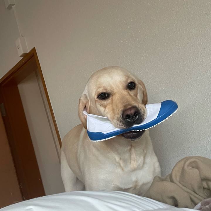 D45bc320 fc14 44a4 aeeb 34491cbbf3e9 1672635264781