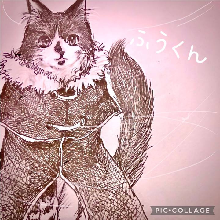 D45bce97 23f3 4322 b1ea 452593ad317e 1613310931553