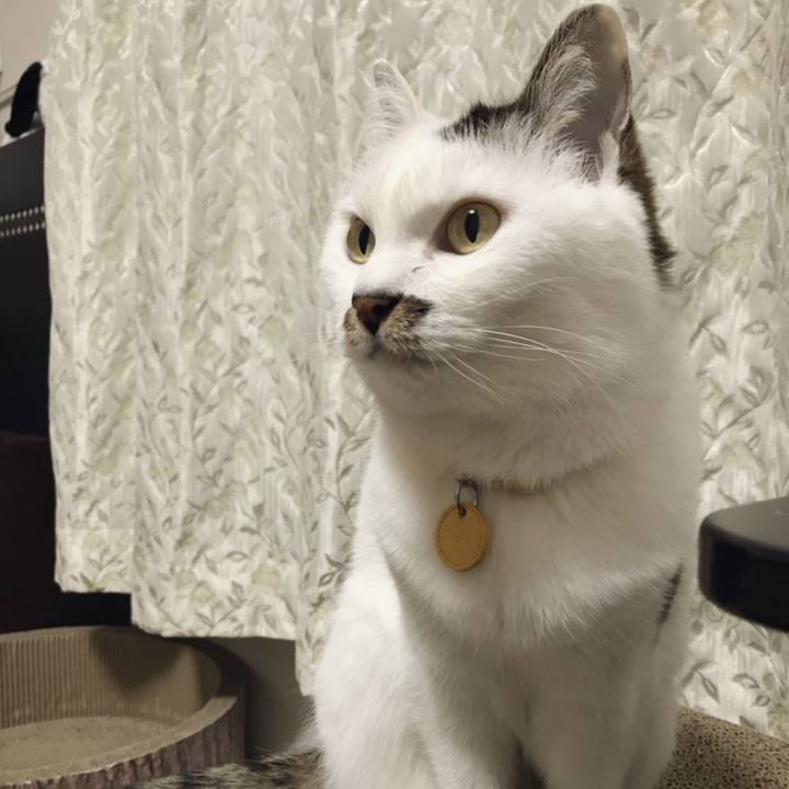 D45beec6 f25e 464c 89fd 11d3d29614ea 1555217358786