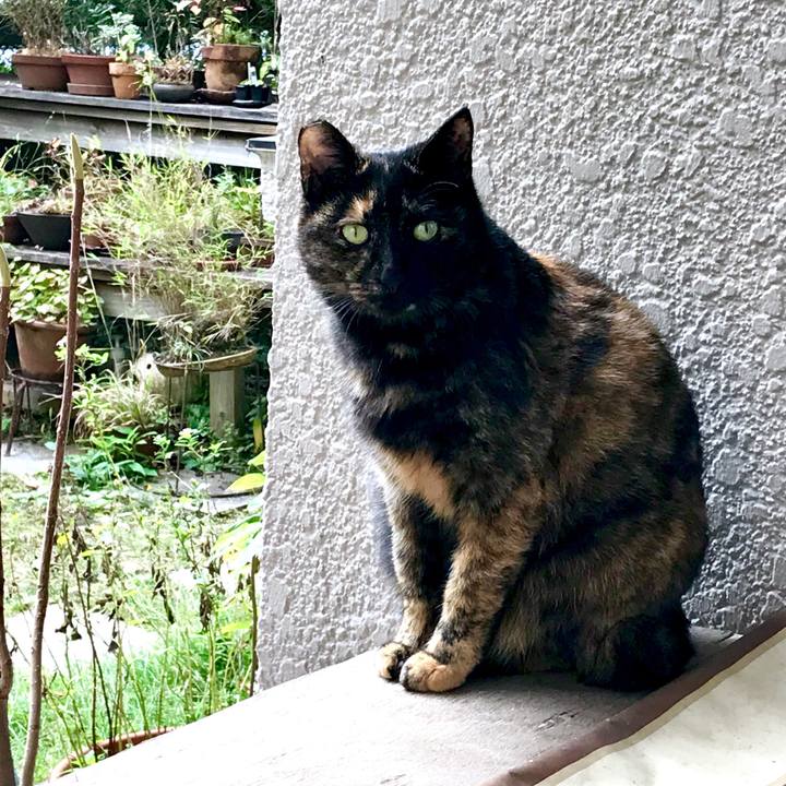 D45c235d 9a2d 48ca ad4d ec86aa900832 1542078384976