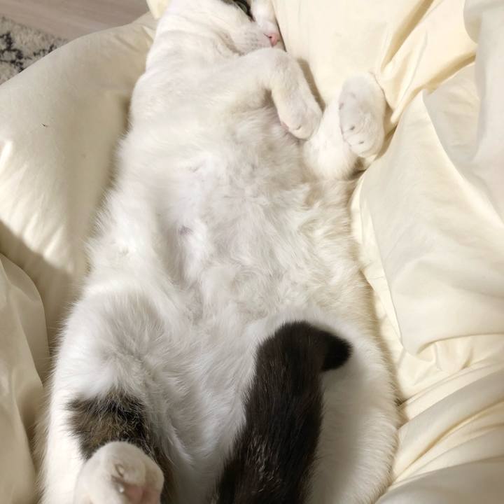 D45c3a7a 2738 4ac6 be11 9dd75bee0fa7 1588022895463