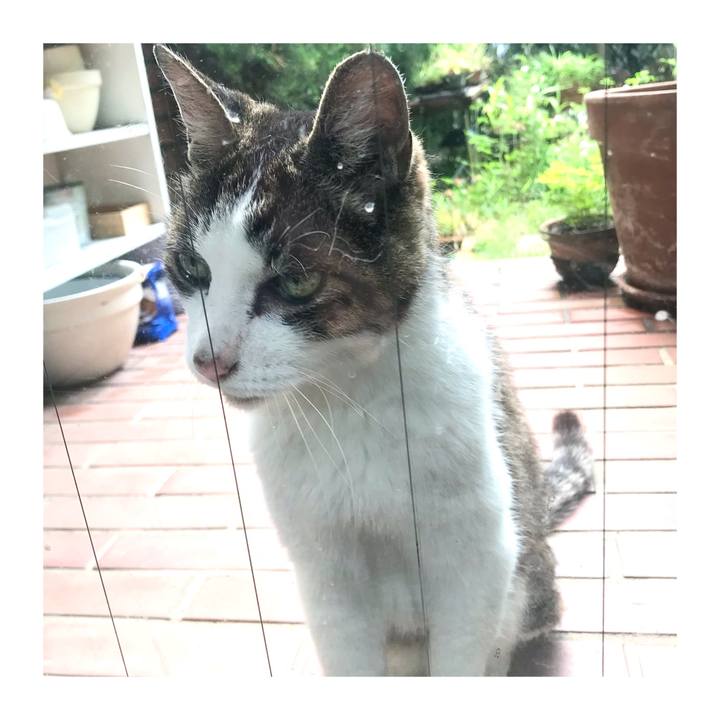 D45c46ee f34a 43f8 9715 3d34d9ef8e6f 1657246398992