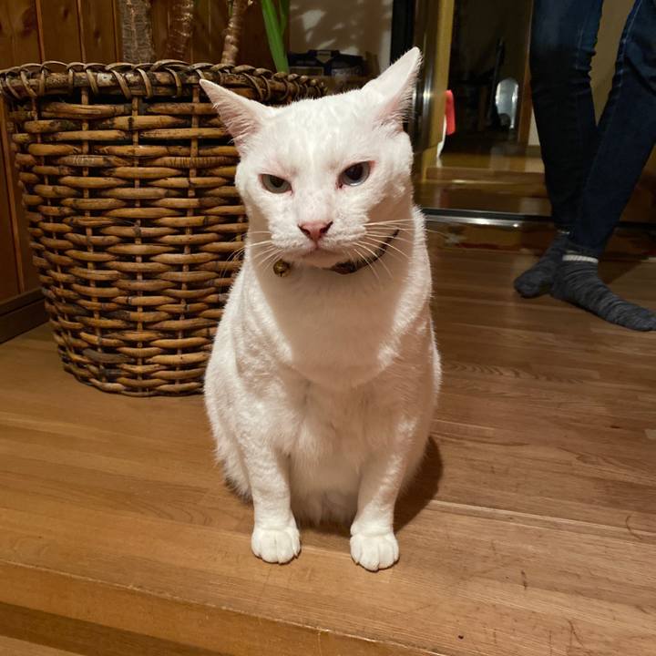 D45c7df0 5333 4d7b a88a 0575a6de25b1 1600941229898