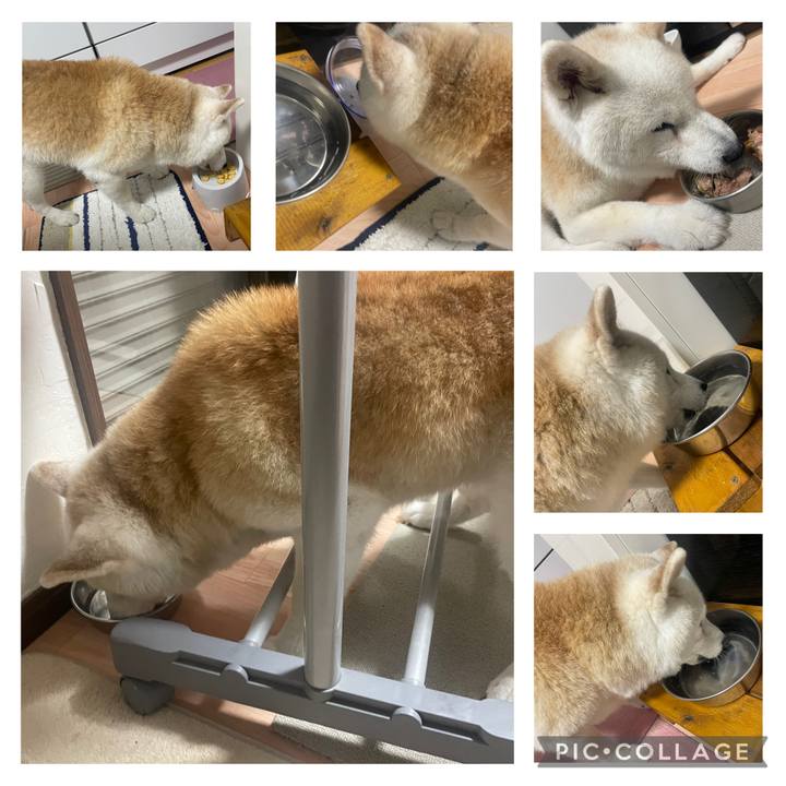 D45caf9f bf17 40b0 b1ba e4d5d4295150 1756021410213