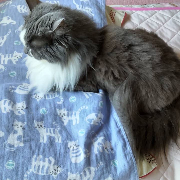 D45ce433 9aed 404f 93c7 f5739d01f7f6 1625003859207