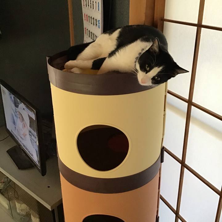 D45dd024 f793 462e a4fc c63fba4daf19 1641685519482