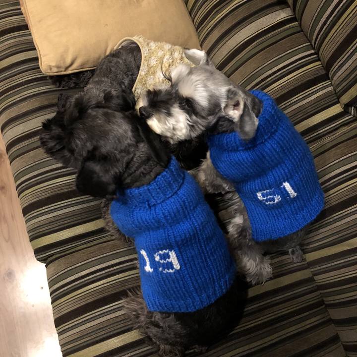 D45e0870 96a1 4c09 ba00 ca3a38332c1e 1514372462005