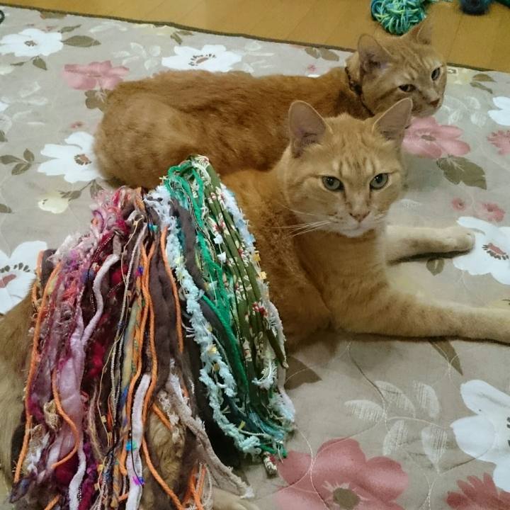 D45e567e 86fe 4ea8 b05b 7684e70cfe98 1540125215049