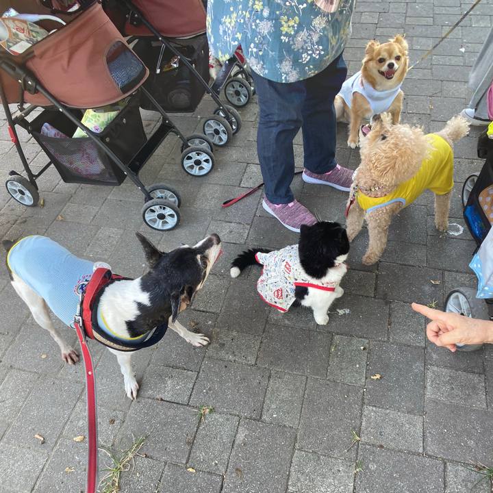 D45e5ef3 991c 43c4 bc5f 06e325e6ce8b 1597456780417