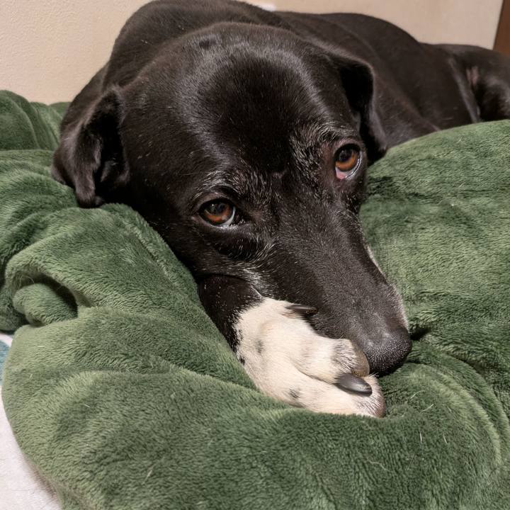 D45e60c6 c9e6 4554 b761 5e7554dde5fa 1739186419263