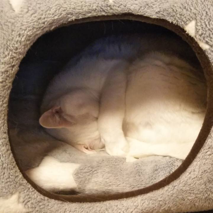 D45e7fef 66a2 4ff4 88dd 9c341ee75256 1552487354901