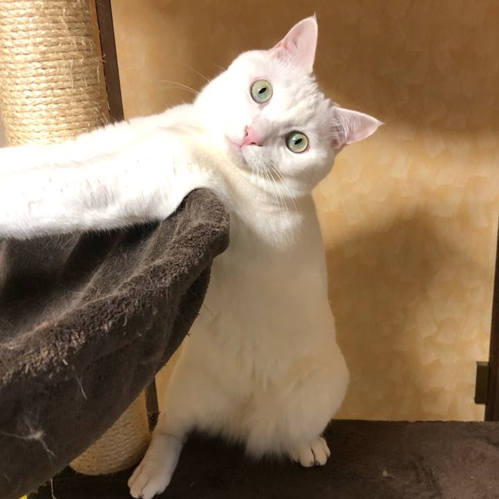 D45ea50c f854 4725 8959 9047acdb3459 1588507484310