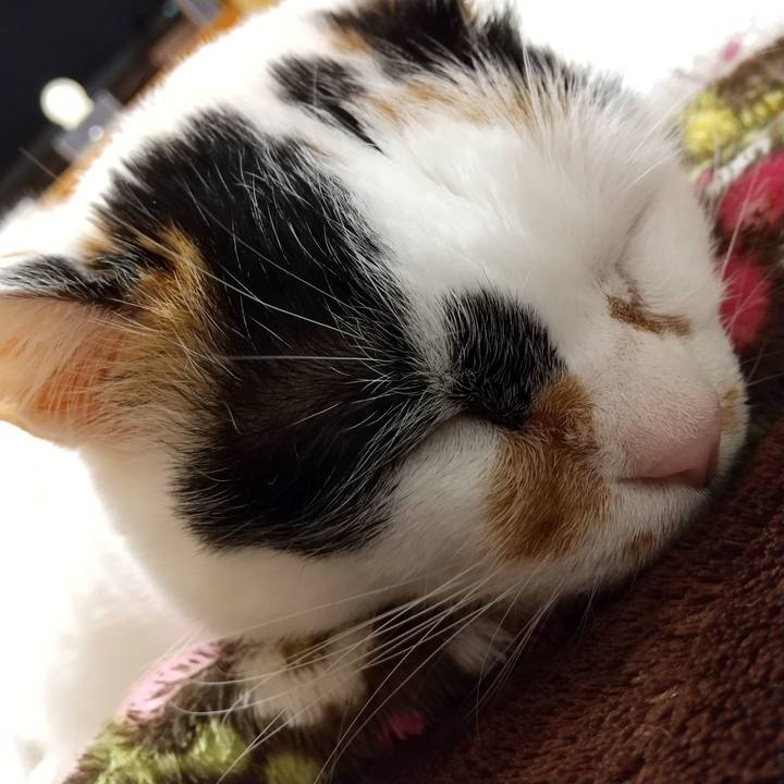 D45ef758 8d9b 4c38 b2b6 f86fcbb892f0 1584022714442